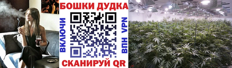 Каннабис конопля  где продают наркотики  MEGA вход  Ильский 
